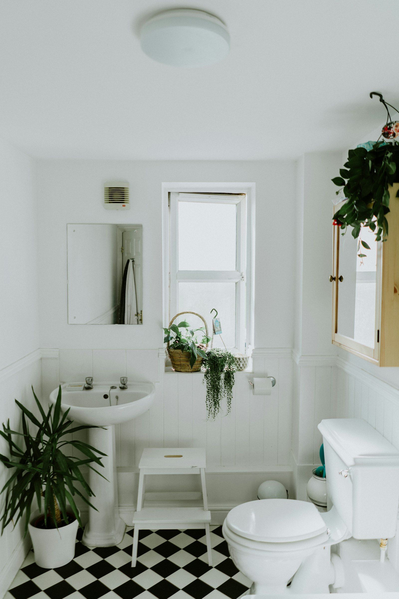 Bright bathroom with vanity basin, chrome taps and toilet